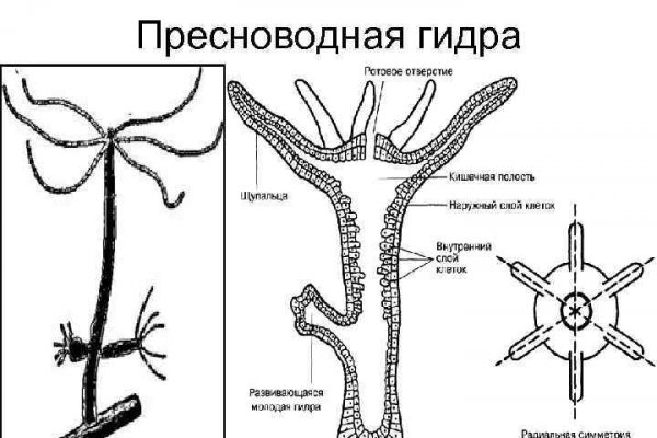 Как на блэкспрут купить биткоины с карты