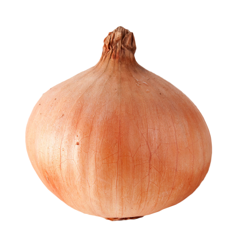 Krakenruzxpnew4af onion tor