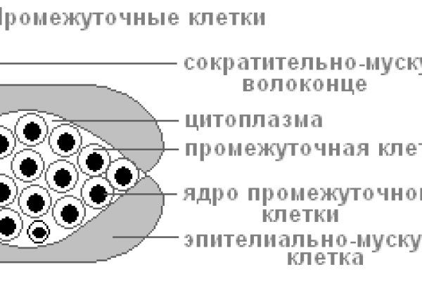 Закрытие меги