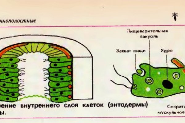 Вход на kraken kramp.cc