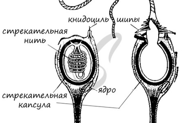 Кто создатель кракена