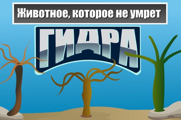 Kraken ссылка на сайт kra.mp