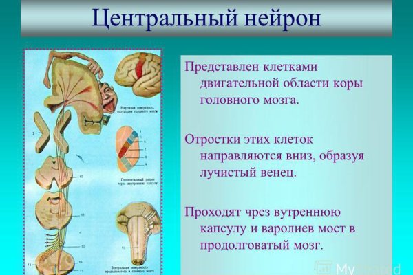 Почему не работает сайт блэкспрут сегодня